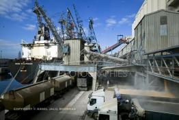 Image du Maroc Professionnelle de  Pour une distribution nationale le chargement du blé au quai des Doc Silos au port de Casablanca se fait grâce à des installations modernes versant le blé en grain directement dans le camion, cette opération automatique gérée par la centrale des doc silos. 31 Décembre 2003. (Photo / Abdeljalil Bounhar)

 